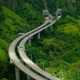 Image for article titled How We'll Live in a Future Where Cities Have Become Forests